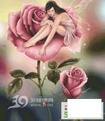玫瑰纯露 美眉你知多少