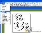 图5 输出为图片