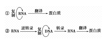 文本框:
